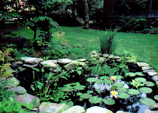 landscaping in Guelph
